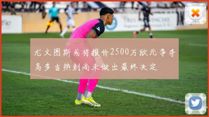 尤文图斯或将报价2500万欧元争夺乌多吉热刺尚未做出最终决定