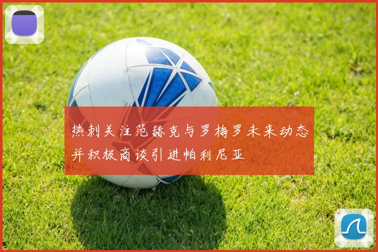热刺关注范赫克与罗梅罗未来动态并积极商谈引进帕利尼亚