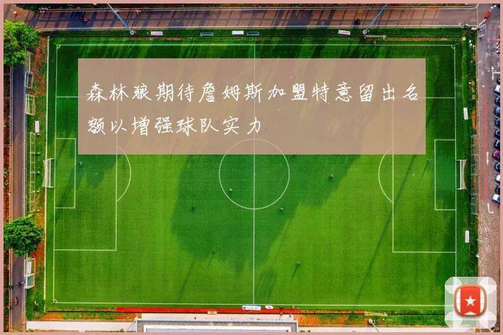 森林狼期待詹姆斯加盟特意留出名额以增强球队实力